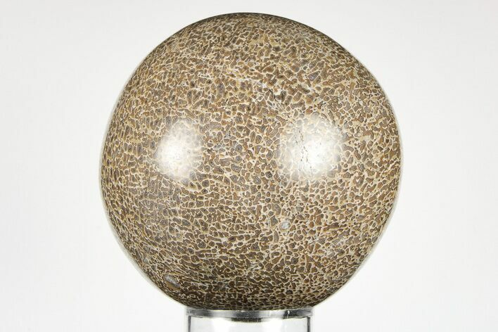Polished Agatized Dinosaur (Gembone) Sphere - Morocco #198513